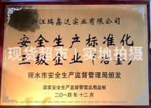 浙江瑞鑫达实业有限公司,安全生产标准化